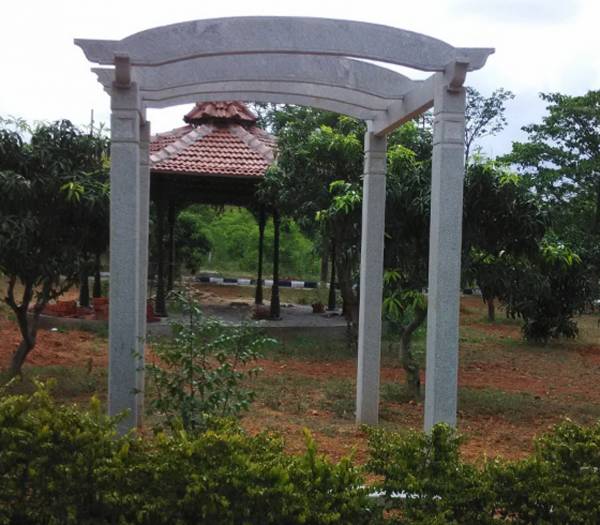 Images for Main Other of Vasundhara Tree Park