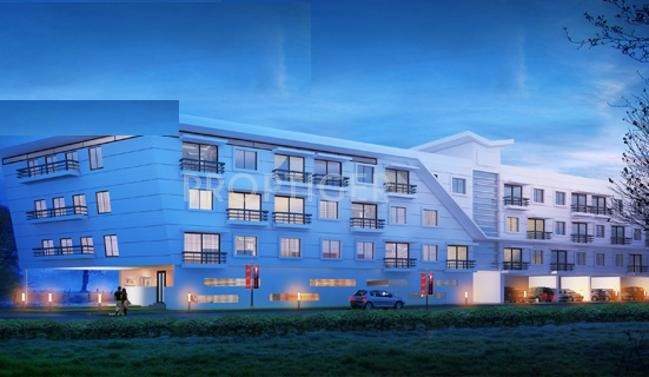  citrine Images for Elevation of Artha Citrine