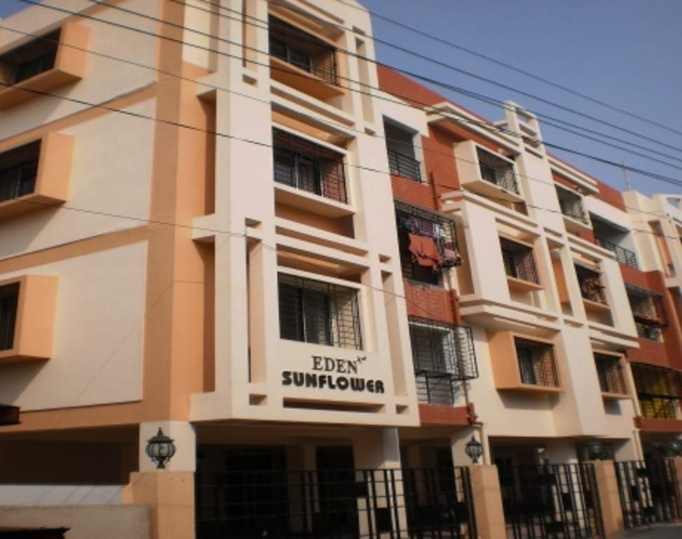 Images for Elevation of Eden Group Sunflower