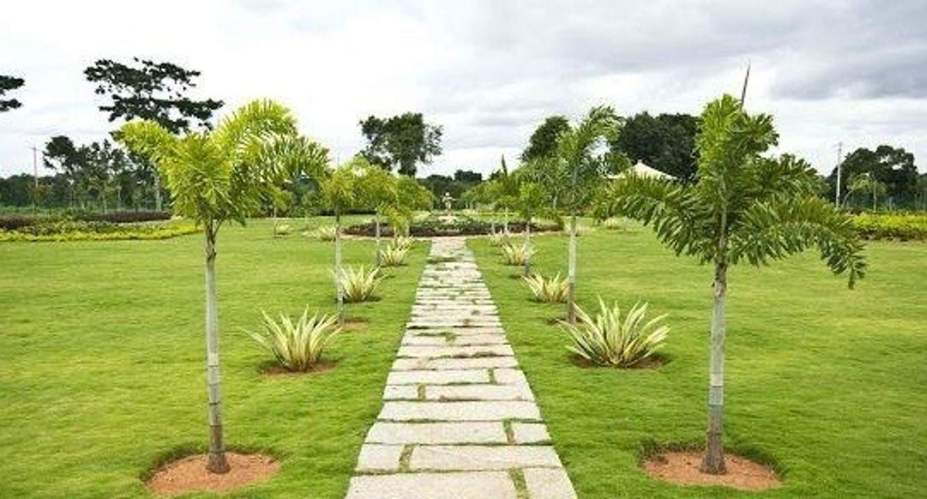 Images for Amenities of Sark Green Plains