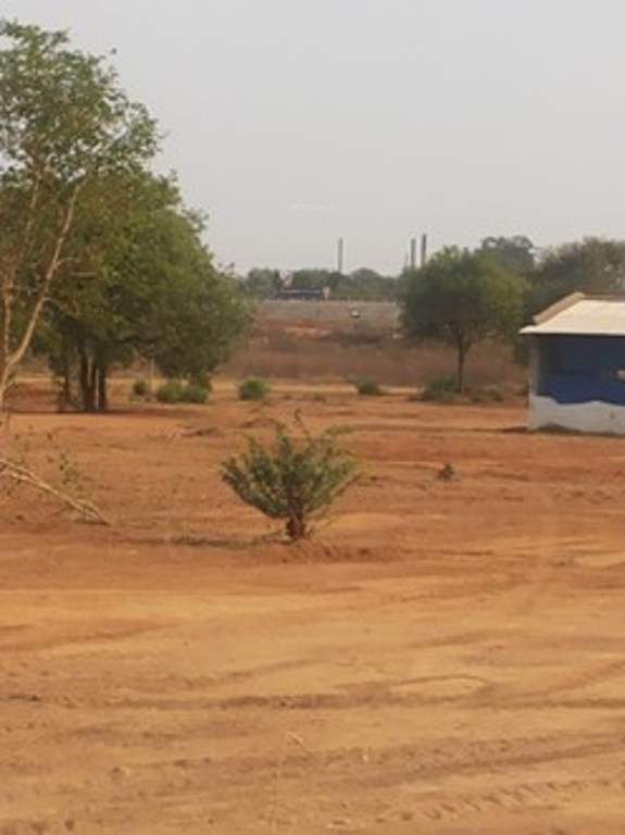Images for Main Other of Sark Green Plains