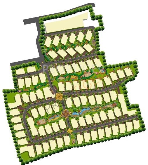  cornel tree Master Plan