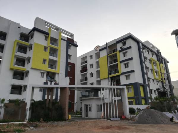  the-life Images for Project