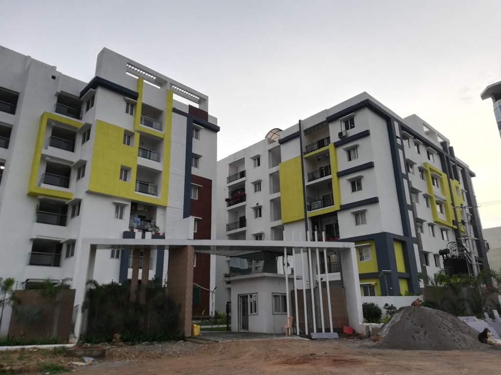  the life Images for Project