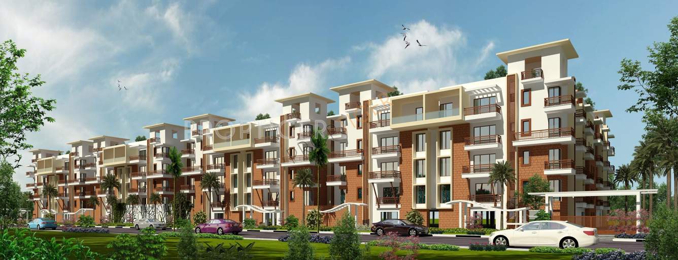  palms Images for Elevation of SVS Palms