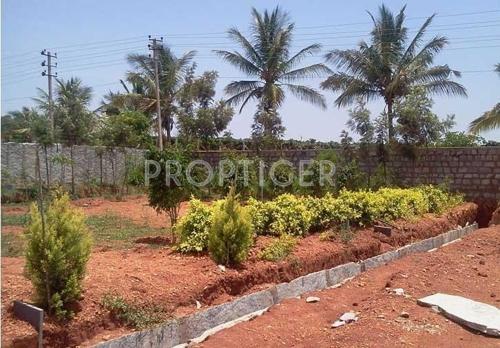 Images for Construction Status of White Takt Greens