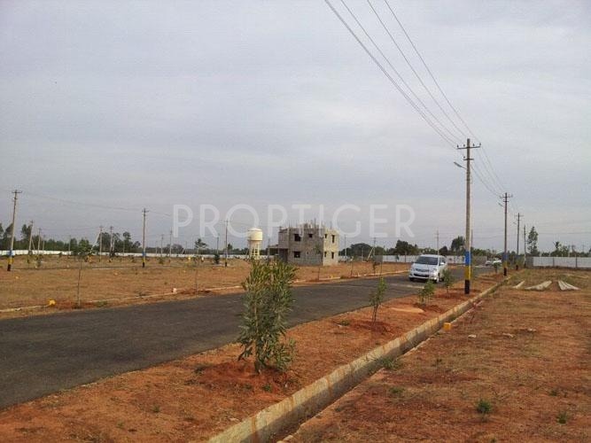 Images for Elevation of Venus Sriven Serenity Images for Elevation of Venus Sriven Serenity