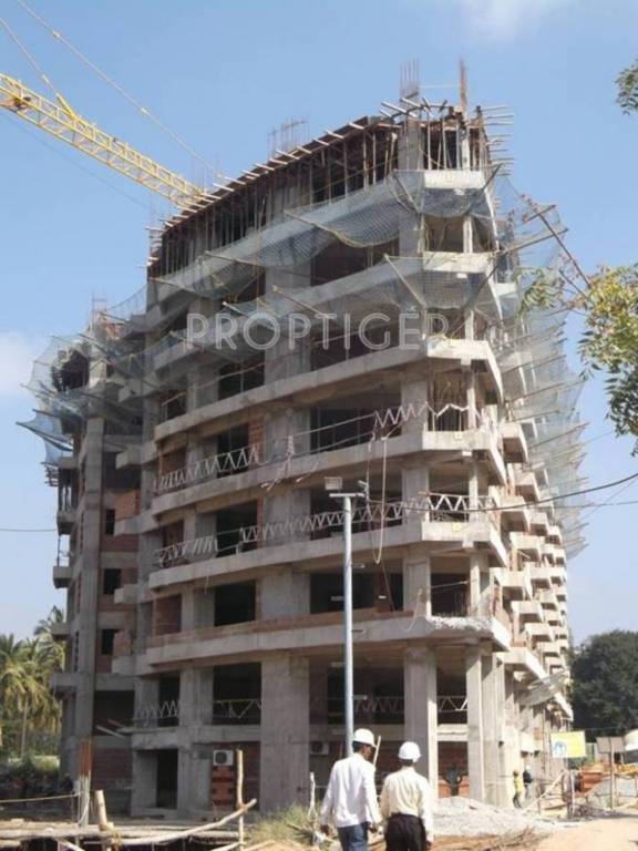 Images for Construction Status of Citrus Shelton