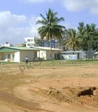 Images for Construction Status of Citrus Shelton