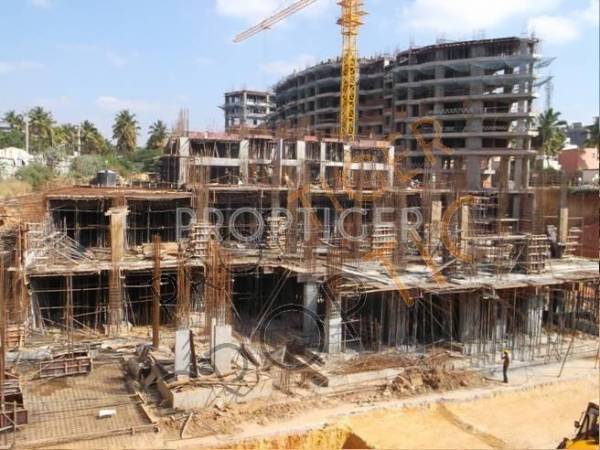 Images for Construction Status of Citrus Shelton