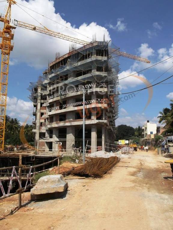 Images for Construction Status of Citrus Shelton