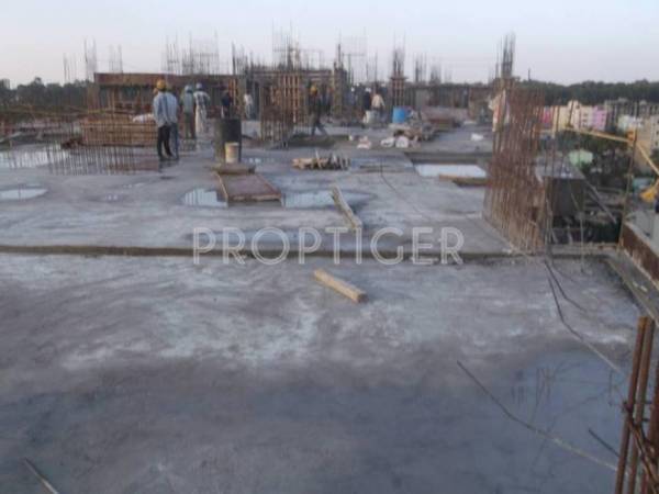 Images for Construction Status of Citrus Shelton