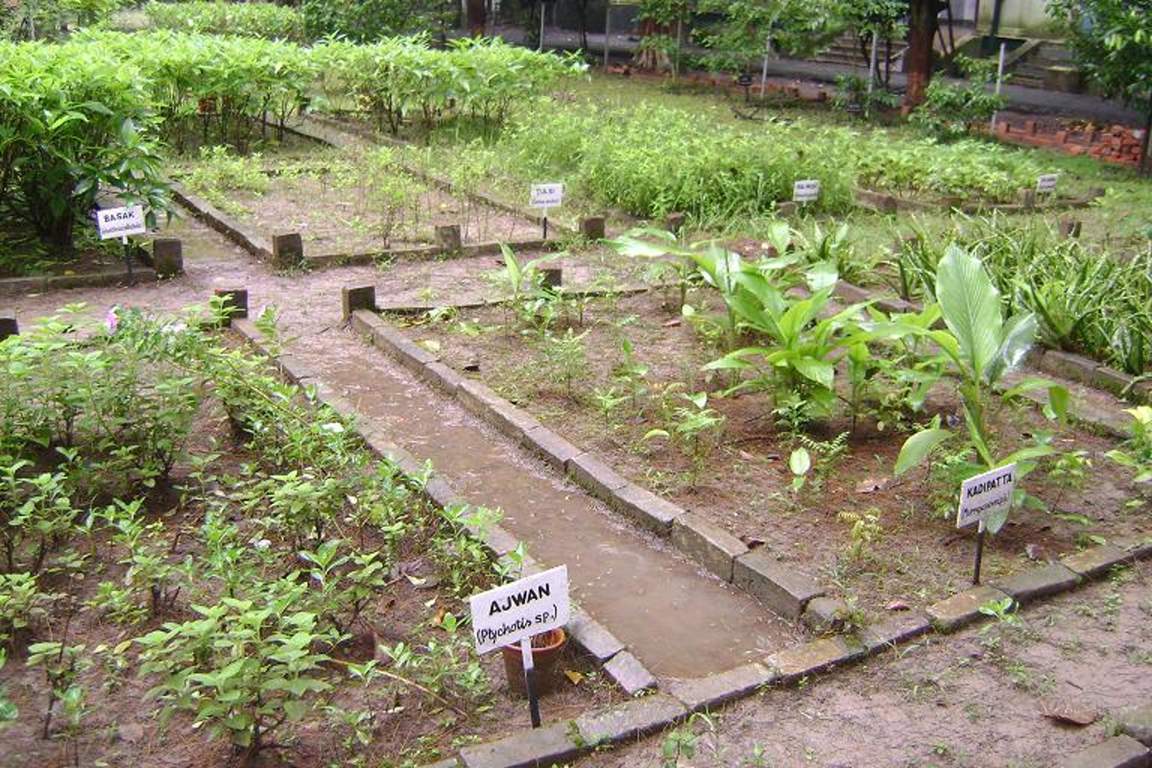  yadarushi township Images for Amenities of Pragati Yadarushi Township