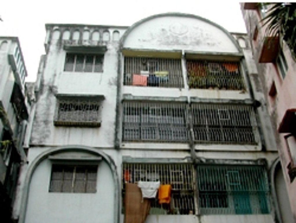 Images for Elevation of Daffodil Duke Gardens