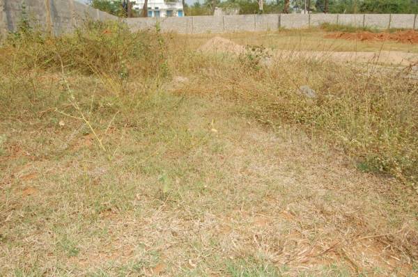 Images for Main Other of Sreegruha Royal Smart City