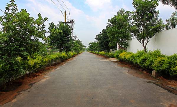 Images for Amenities of LG Rose Heritage Extension Images for Amenities of LG Rose Heritage Extension