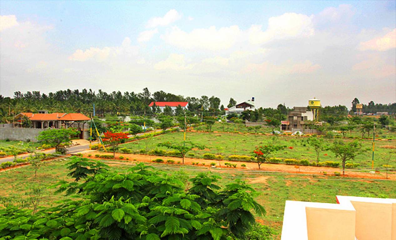 Images for Main Other of LG Rose Heritage Extension