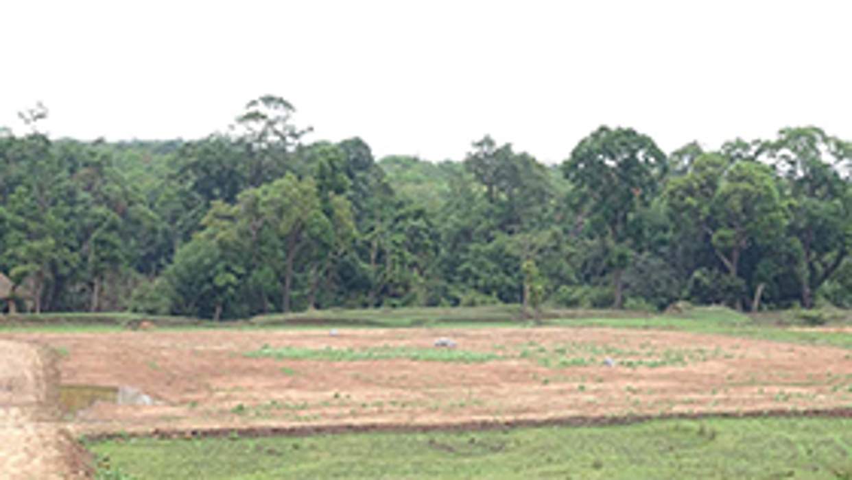 Images for Main Other of Greater Kinnaara