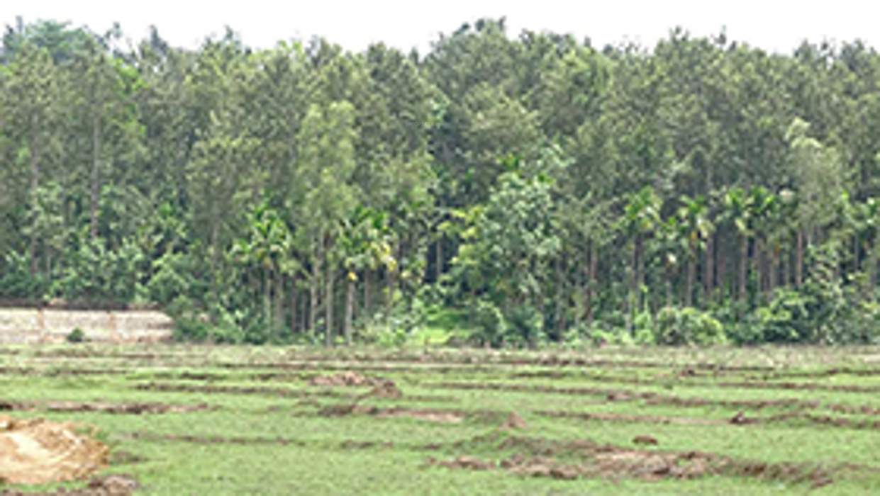 Images for Main Other of Greater Kinnaara