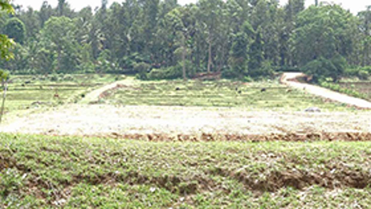 Images for Main Other of Greater Kinnaara