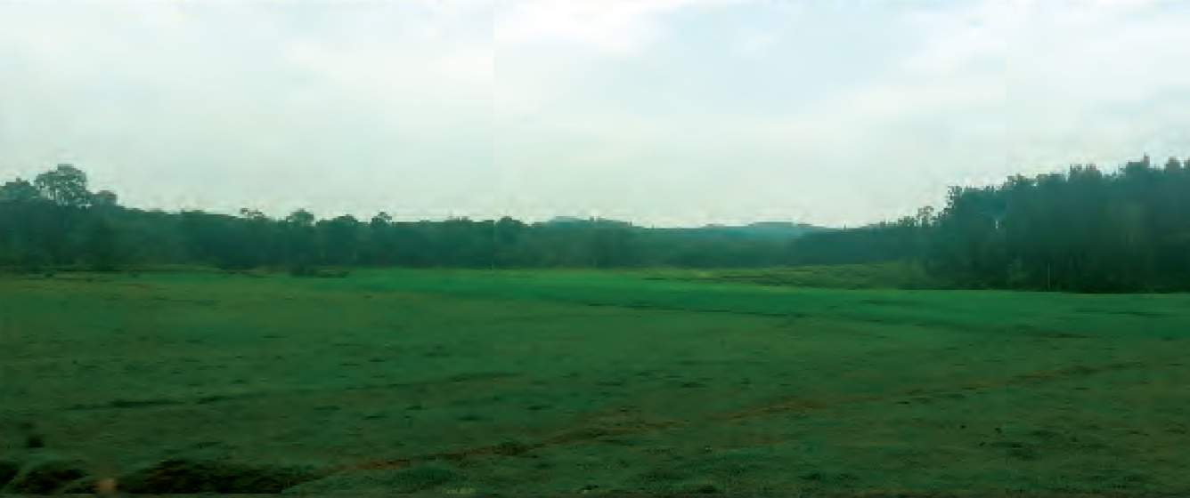 Images for Main Other of Greater Kinnaara