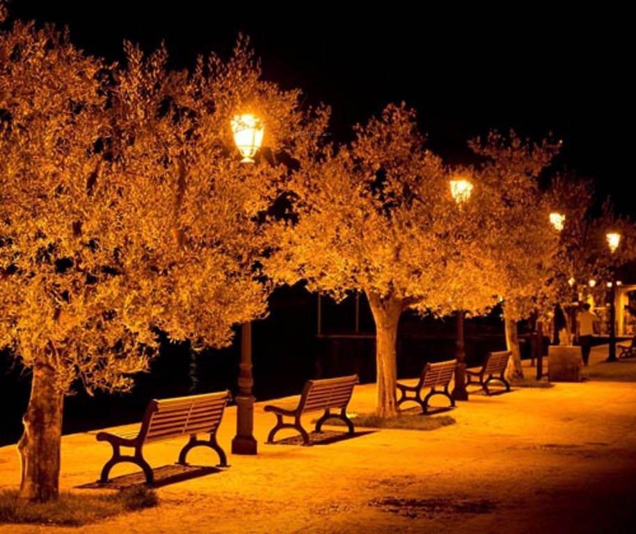 Images for Amenities of Vanshika Greens