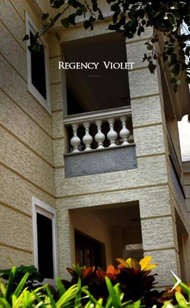 Images for Elevation of Ashed Regency Violet