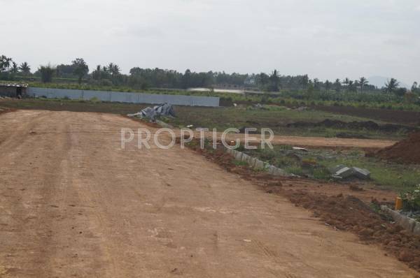 Images for Elevation of Gateway Meadows