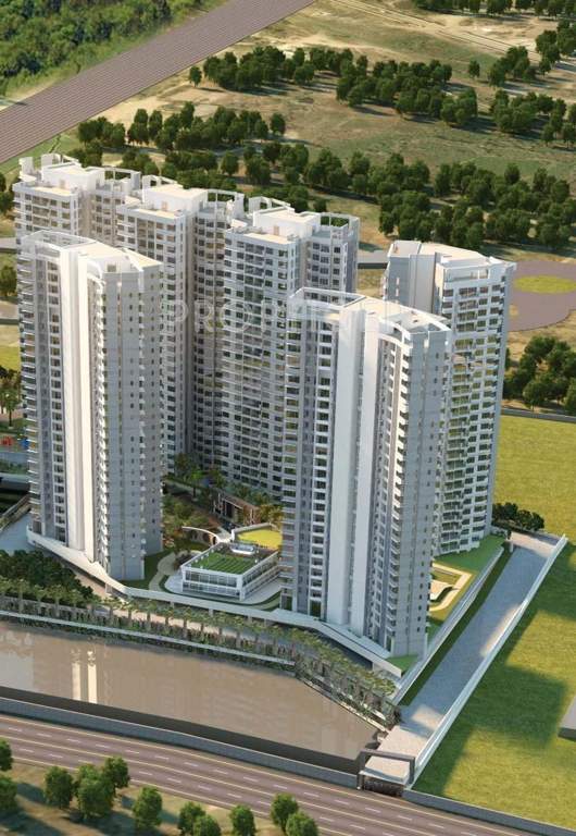 Images for Elevation of L And T Emerald Isle