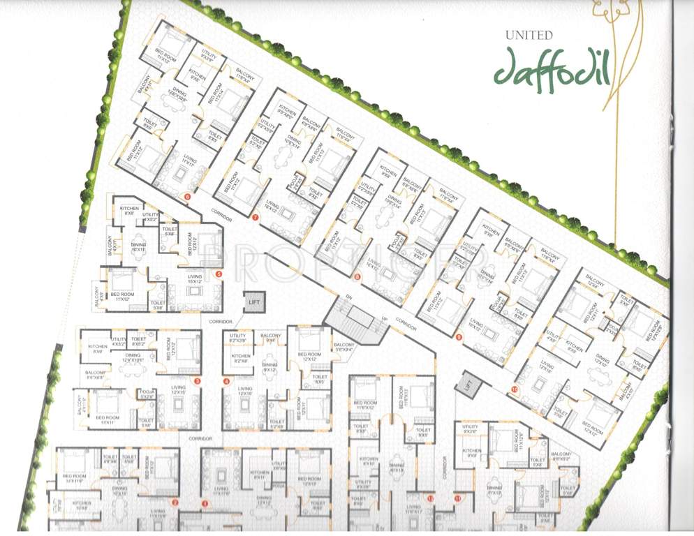 united daffodils Images for Cluster Plan of Winning Edge Group United Daffodils