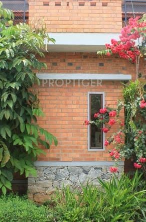 Images for Construction Status of Good Footprints Images for Construction Status of Good Footprints