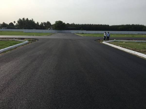 Images for Main Other of MCB Blossom Rich Images for Main Other of MCB Blossom Rich