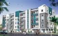 Vijay Comfort