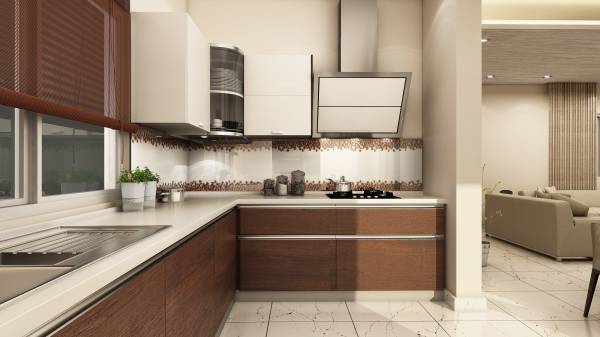 Images for Main Other of CoEvolve Northern Star