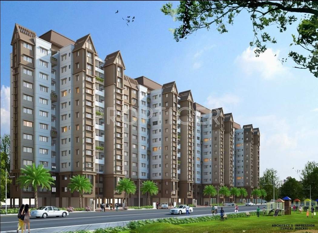 the county Images for Elevation of Team The County