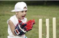  the center court prime Cricket Pitch