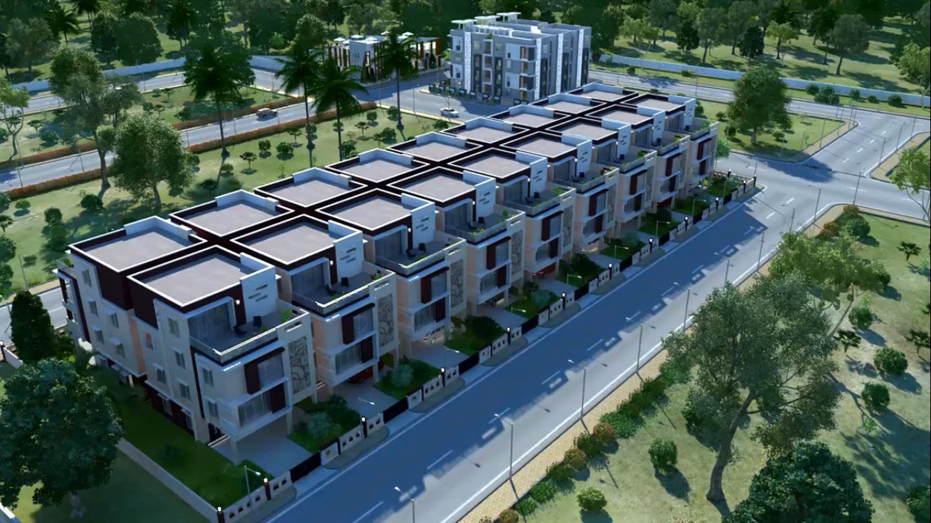  blossoms Images for Elevation of TMR Blossoms