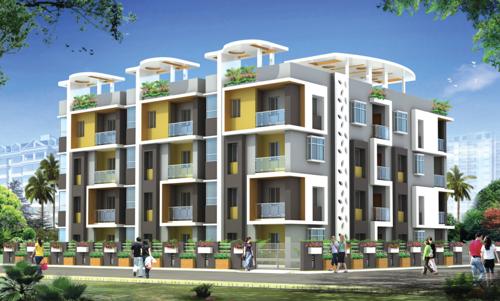  tulips Images for Elevation of TMR Tulips