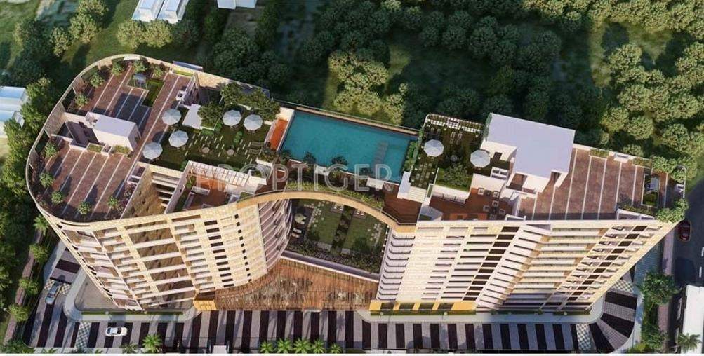  caladium Images for Elevation of Brigade Caladium