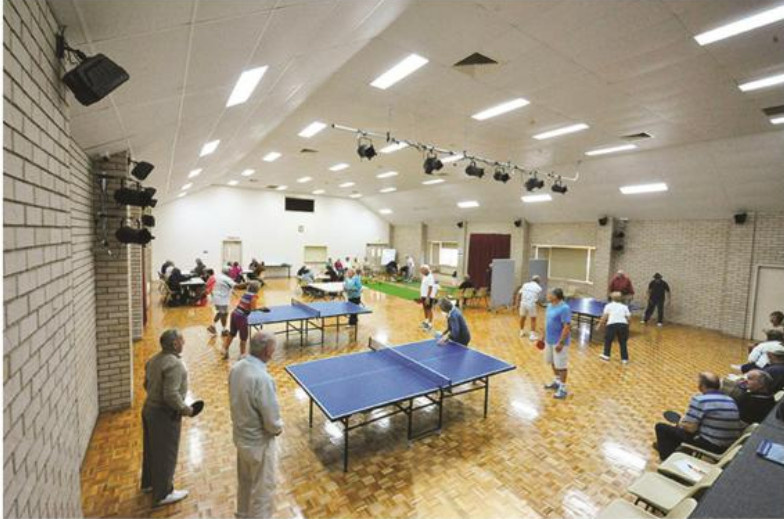 home green Indoor Games