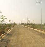 Images for Main Other of Vertex Green Reserve Images for Main Other of Vertex Green Reserve