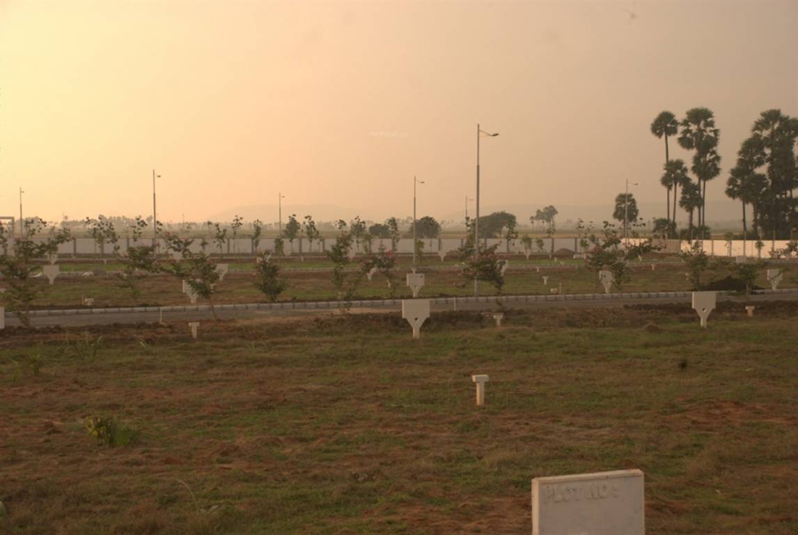 Images for Main Other of Vertex Green Reserve