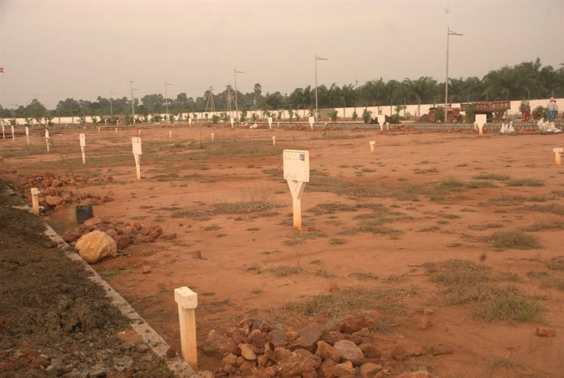 Images for Main Other of Vertex Green Reserve