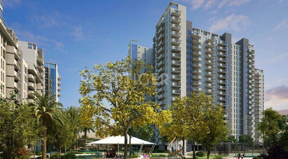 the corridors Images for Elevation of Ireo The Corridors