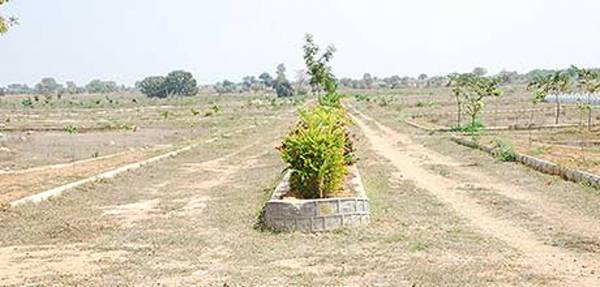 Images for Main Other of Kapil Nedunoor