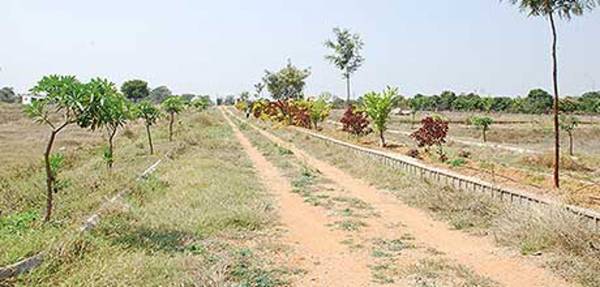 Images for Main Other of Kapil Nedunoor