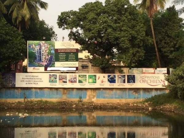 Others orchid Others