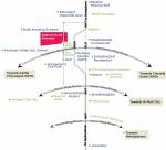 Images for Location Plan of Montag Villas