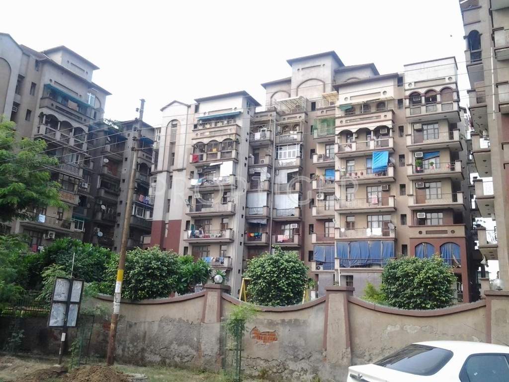 exotica Images for Elevation of Amrapali Exotica