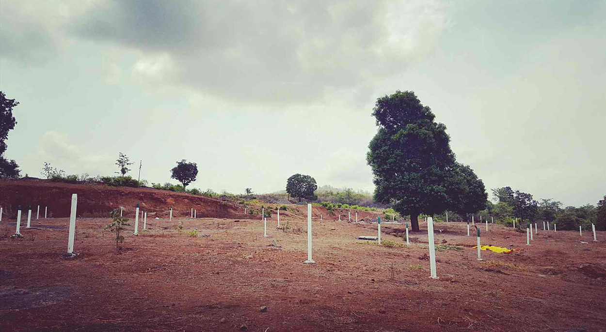 Images for Main Other of Green Morya